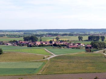 Trail On foot Sugenheim - Sugenheim Rundweg SU12 - Photo