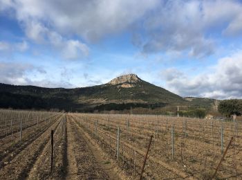 Tour Wandern Cabrières - Le Vissou par les crêtes - Photo