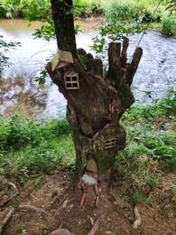 Trail Walking Lierneux - Les prés de la Lienne  - Photo