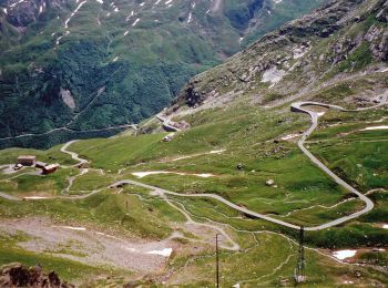 Tour Zu Fuß Bourg-Saint-Pierre - Via Alpina Red R117 - Photo