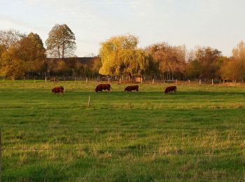 Randonnée Marche Vernou-sur-Brenne - Vaugondy Vernou - Reugny - 24.9km 315m 5h30 (30mn) - 2022 11 13 - Photo