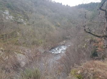 Trail Walking Saint-Jean-du-Bruel - gorges de la Dourbies  - Photo