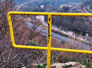 Excursión Senderismo Chaudfontaine - La découverte de Sauheid et rocher du bout du monde   - Photo