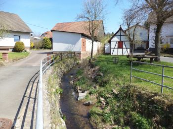 Excursión A pie Steinau an der Straße - Steinau a. d. Straße, Wanderweg 8 - Photo