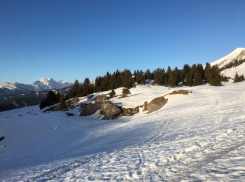 Percorso Racchette da neve La Clusaz - L’étale  - Photo