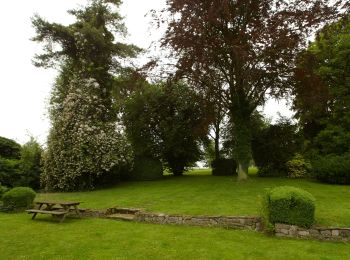 Percorso A piedi Tongeren - Rond de bronnen van de Mombeek - Photo