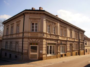 Tour Zu Fuß Wenzenbach - O 08 Wenzenbach - Donaustauf (Rotes Dreieck) - Photo