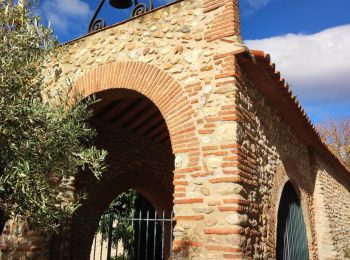 Tocht Stappen Banyuls-dels-Aspres - banyuls des aspres - Photo