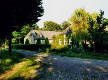 Randonnée A pied Dalfsen - WNW Vechtdal - Oude Oever - gele route - Photo