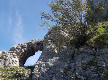 Excursión Senderismo Saint-Nizier-du-Moucherotte - De l'arche du Coulou à l'Arche d'Engins depuis St Nizier du Moucherotte - Photo