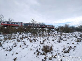 Excursión A pie okres Hlohovec - Náučný chodník Poniklec - Photo