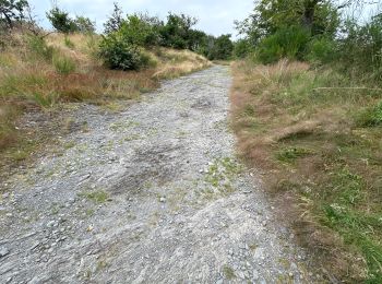 Percorso Marcia Fauvillers - Tintange 25,3 km - Photo