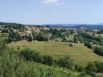 Tour Wandern Le Bouchet-Saint-Nicolas - pradelles  - Photo