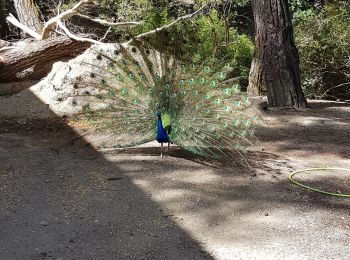 Randonnée Marche  - Rhodes les 7 sources 452019 - Photo