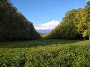 Percorso Marcia Meudon - étangs et tapis vert  - Photo