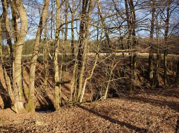 Randonnée A pied Neumarkt in der Oberpfalz - Steinbergrundweg - Photo