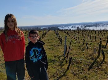 Excursión Senderismo Le Loroux-Bottereau - Anaëlle et Lilian - Photo