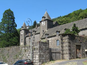 Excursión A pie Saint-Projet-de-Salers - Sur la route des transhumances étape 3 - Photo