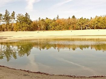 Tour Zu Fuß Aa en Hunze - 't Gasselterveldroute - Photo