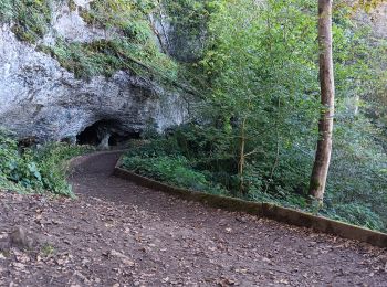 Tocht Stappen Comblain-au-Pont - Comblain-au-Pont d´une rive à l´autre - Photo