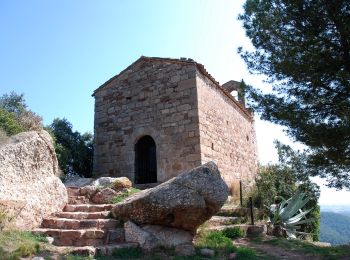 Randonnée A pied Olesa de Montserrat - PR-C 168 Camí de Vilalba - Photo