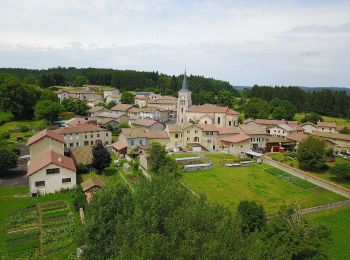 Tocht Te voet Saint-Bonnet-le-Bourg - L'Etang de Marchaud - Photo