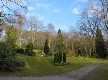 Tocht Te voet Itzehoe - Spaziergang im Stadtforst Itzehoe 2 - Photo