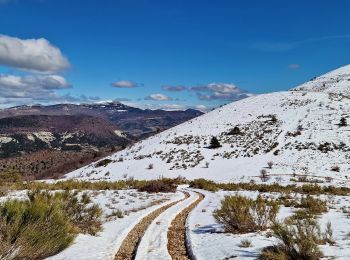 Randonnée Marche Séderon - Les Bergiès via Séderon - Photo