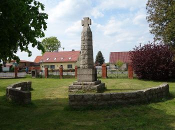 Tour Zu Fuß Templin - Templin-Hammelspring - Photo