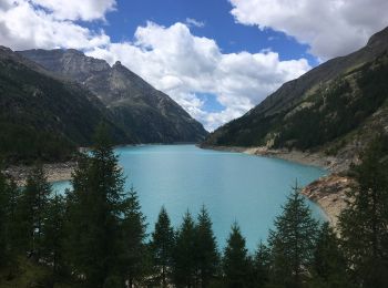 Randonnée A pied Bionaz - Itinerario 11 Diga di Bionaz Alpeggio Bella Tsa - Photo