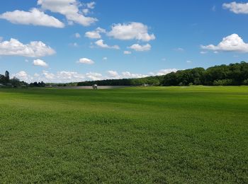 Randonnée Marche Hoste - étangs hoste - Photo