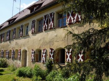 Excursión A pie Kirchensittenbach - Kirchensittenbach 4 - Photo