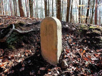 Tocht Te voet Gründau - Rundwanderweg 