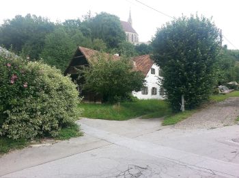 Tocht Te voet Gratwein-Straßengel - Wanderweg 14 - Photo