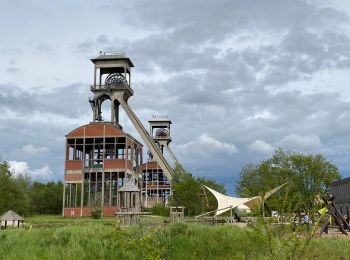 Tour Wandern Maasmechelen - Terhills deels paarse route 14km - Photo