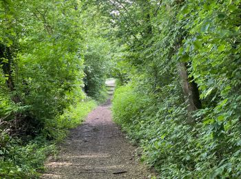 Tocht Stappen Aat - Assoumont-Houssière-Assoumont - Photo