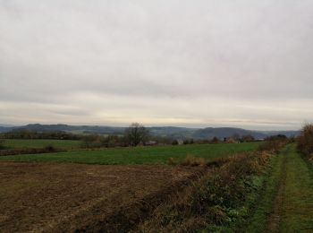 Tour Wandern Sprimont - Dolembreux - Lincé - La Haze - Hautgné - Photo