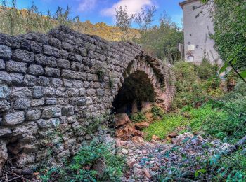 Trail On foot Finale Ligure - Calvisio - Val Ponci - Colla Magnone - Photo