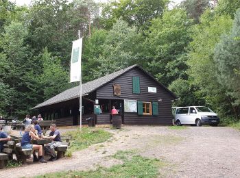 Randonnée A pied Freinsheim - Parkplatz Lindemannsruhe Rundwanderweg 12 - Photo