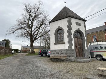 Randonnée Marche Profondeville - Lustin 12 Km - Photo