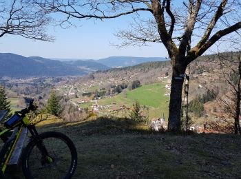 Randonnée Vélo électrique Basse-sur-le-Rupt - Basse-sur-le-Rupt Vttae - Photo