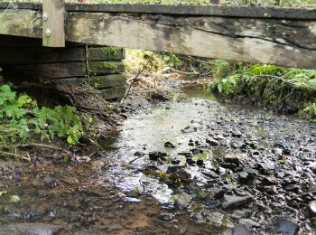 Randonnée A pied Bad Salzuflen - Bad Salzuflen Rundweg 3 - Photo