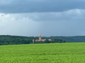Tocht Stappen Kiischpelt - Eislek trail et 01 Kautenbach-Clervaux 25km - Photo