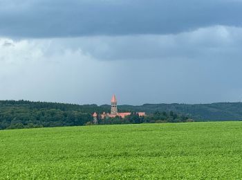 Tour Wandern Kiischpelt - Eislek trail et 01 Kautenbach-Clervaux 25km - Photo