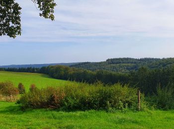 Randonnée Marche Gedinne - Balade à Bourseigne-Vieille - Gedinne - Photo