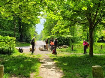 Tocht Stappen Saintry-sur-Seine - Boucle 30 km Saintry - Seine Port - Morsang - Photo