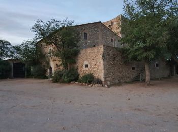 Tocht Stappen Torroella de Montgrí - chapelle de oalau - Photo