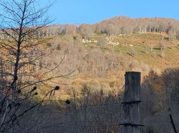 Trail Walking Cazenave-Serres-et-Allens - cabane du ¨Pla de Tabe version longue - Photo