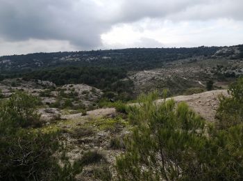 Trail Walking Gordes - gordes senanque - Photo