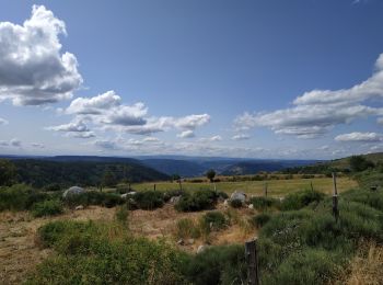 Tour Wandern Saint-Étienne-du-Valdonnez - les gorges du Bramont - Photo